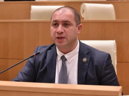 მიქანაძე პარლამენტი