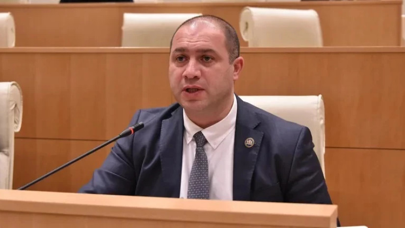 მიქანაძე პარლამენტი