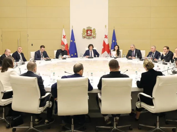 კობახიძე-შეხვედრა